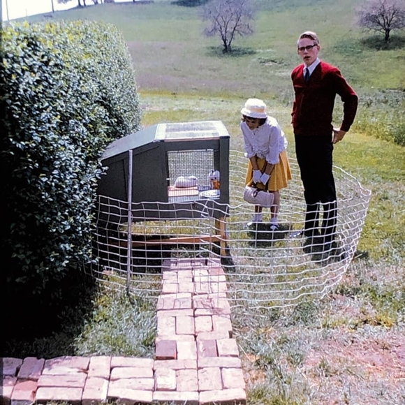 Meet your Posher, Debby - Picture 1 of 1